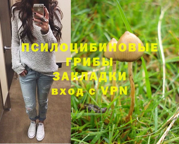 ПСИЛОЦИБИНОВЫЕ ГРИБЫ Баксан