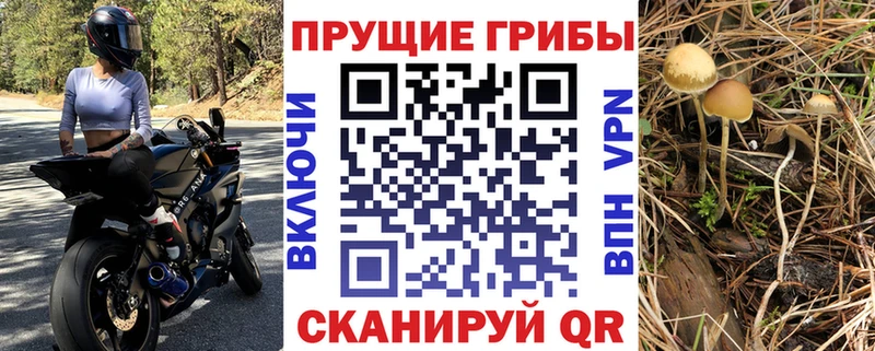 купить наркотики цена  Радужный  мега ONION  Псилоцибиновые грибы ЛСД 